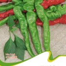 Hot Chilli Sweet Pepper C128 SEEDS