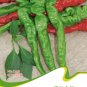 Hot Chilli Sweet Pepper C128 SEEDS