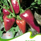 Hot Chilli Sweet Pepper C152 SEEDS