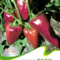 Hot Chilli Sweet Pepper C152 SEEDS