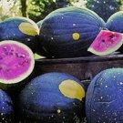 RARE Hokkaido Black Watermelon 10  SEEDS