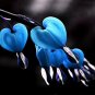 10 Blue Bleeding Heart  SEEDS
