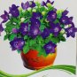 10 s Bonsai Purple Platycodon Grandiflorum Herbs Balloonflower Flower Seeds