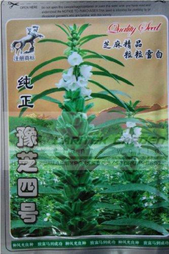 2 Original 30g White Sesame Gingili White Gingeli Seeds