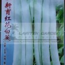 3 30g String Bean Dwarf Beans Seeds