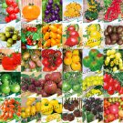 Rare 30 Types of Different Gardening Tomato Organic 30 Seeds