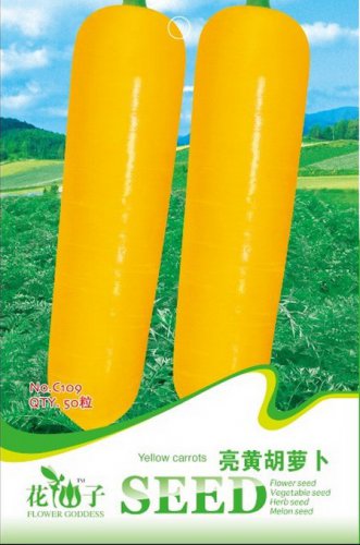 10 Yellow Carrot Edible Carota Vegetables Gardening for Households Seeds