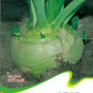 10 s Rapeform Mustard Green Vegetables Rutabaga Gardening for Households Seeds