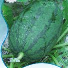 10 Original s 10 Long Black Sweet Juicy Watermelon Great Summer Fruits for Ones Body Seeds