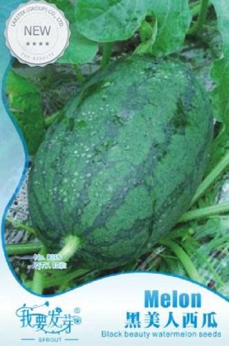 10 Original s 10 Long Black Sweet Juicy Watermelon Great Summer Fruits for Ones Body Seeds