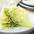 Iceberg heading lettuce 20000 SEEDS