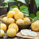 Lemon Cucumber SEEDS 800  unique canning rare pickling OP