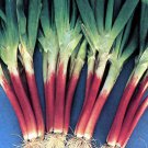 Red Beard Japanese Bunching Onion 200 SEEDS Rare Delicious violet stalk scallion