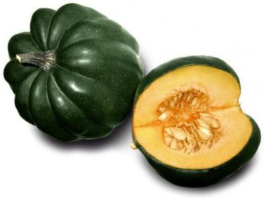 Table King Acorn200 SEEDS