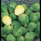 BRUSSELS Sprouts Long Island Improved 8000 SEEDS