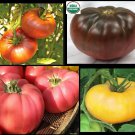 Combo Brandywine YELLOW RED BLACK PINK Tomato 30 SEEDS Rare Beefsteak Organic
