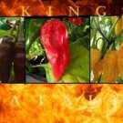 Combo 3 Fataliis-15 SEEDS Each: RED + CHOCOLATE + ORANGEYELLOW HOT Chili pepper