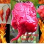 COMBO Bhut Jolokia Ghost pepper Carolina Reaper Trinidad Moruga Scorpion HOT!!!!
