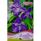Rhizoma Iridis Orris Root Blue Flowers 100 SEEDS