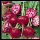 Chioggia Beet 17200 SEEDS CandyStripe Bull's Eye Mild Bassano Microgreens