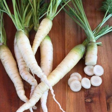 Lunar White Carrots 32000 SEEDS