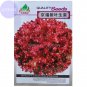 Peking Fu Purple Red Lettuce Original 1000 organic tasty salad vegetables lactuca Seeds