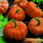 Orange Jack Be Little Pumpkin 10 delicious nutritious healthy green vegetables Seeds