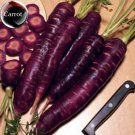 Rare Organic Dark Purple Edible Carrot 100 a nutritious and healthy vegetables Seeds