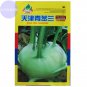 Tianjin Green Kohlrabi Orange Turnip cabbage Original 500 tastyChinese vegetables other Seeds