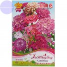 25 mixed purple red pink white blue biennial flowers Seeds