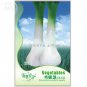 Green Drumstick Scallion Original 30 organic green vegetable Seeds