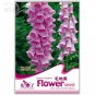 Beautiful Pink Foxgloves Flower 50 easy to grow hardy drought-resistant long flowering Seeds