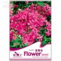 Beautiful Dwarf Sharon Flowers 50 balcony bonsai easy to plant flower Seeds