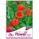 Little red ZinniaeIegans Flower 30 medicinal vegetable easy to grow potted garden Seeds