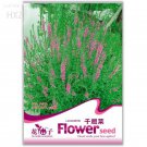 50 easy to grow hardy high medicinal value of aquatic plants Seeds