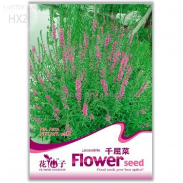 50 easy to grow hardy high medicinal value of aquatic plants Seeds