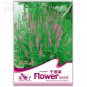 50 easy to grow hardy high medicinal value of aquatic plants Seeds
