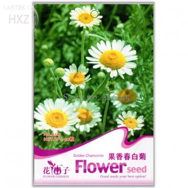 50 fruity aroma chamomile aromatic plants insect repellent aromatic Seeds