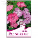 50 attract butterflies  Potted garden flower Seeds