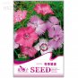 50 attract butterflies  Potted garden flower Seeds