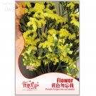 Yellow Forget Me Not Flower Original 35 pot flowers bonsai flower Seeds