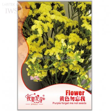 Yellow Forget Me Not Flower Original 35 pot flowers bonsai flower Seeds