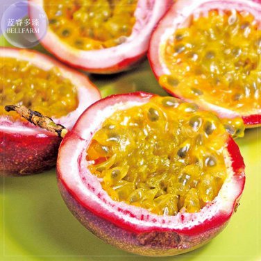 Purple Passion Fruits 40 passiflora edulis sour sweet egg fruit nutritious Granadilla Seeds