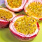 Purple Passion Fruits 40 passiflora edulis sour sweet egg fruit nutritious Granadilla Seeds