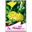 Flowers Yellow Jasmine 20 easy to grow long period beautiful flower Seeds