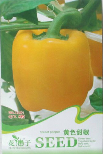 Golden Yellow Sweet Bell Pepper 8 Super Giant Organic Carlifornia Wonder Pepper Seeds