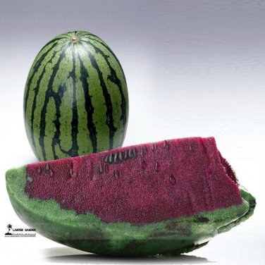 Green Skin Purple Inside Sweet Big Watermelon FWu Hei 20 11% Sugar Melon Fruit Seeds
