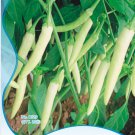Organic White Hot Chili Pepper Original 20 Bonsai Vegetables Seeds