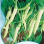 Organic White Hot Chili Pepper Original 20 Bonsai Vegetables Seeds