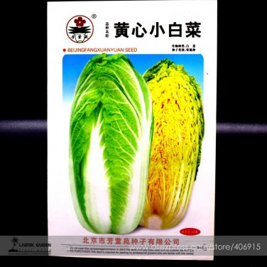 Yellow PakchoiChinese Vegetable Organic Original 60 Seeds
